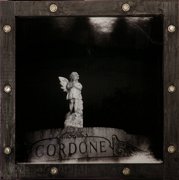 Cemetery Angel of San Francisco II