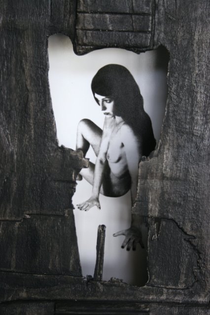 Beauty and a Broken Song III (Detail).JPG - “Beauty and a Broken Song III”   15 x 40 x 4”    Mixed Media on Burnt Guitar, Photograph     Photograph Developed by Jennifer Hart Biagiotti 2008  