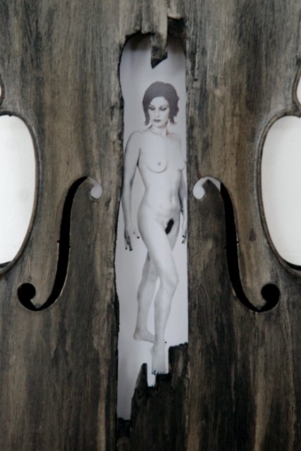 Beauty and a Broken Song VII (Detail).JPG - “Beauty and a Broken Song VII”    18 x 48 x 7”    Mixed Media on Burnt Cello, Photograph   Photograph Developed by Jennifer Hart Biagiotti <br